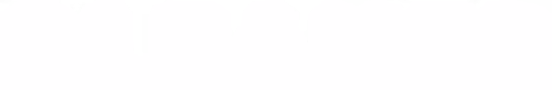 Cleaner